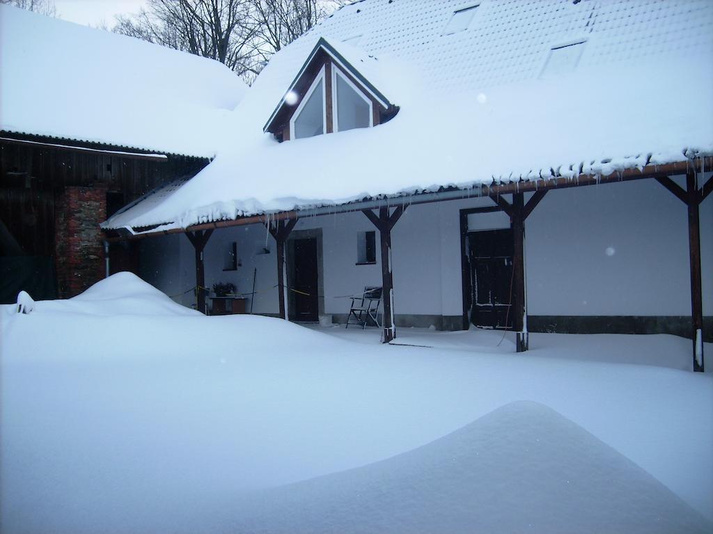 Penzion U dvojice Nove Mesto na Morave Esterno foto