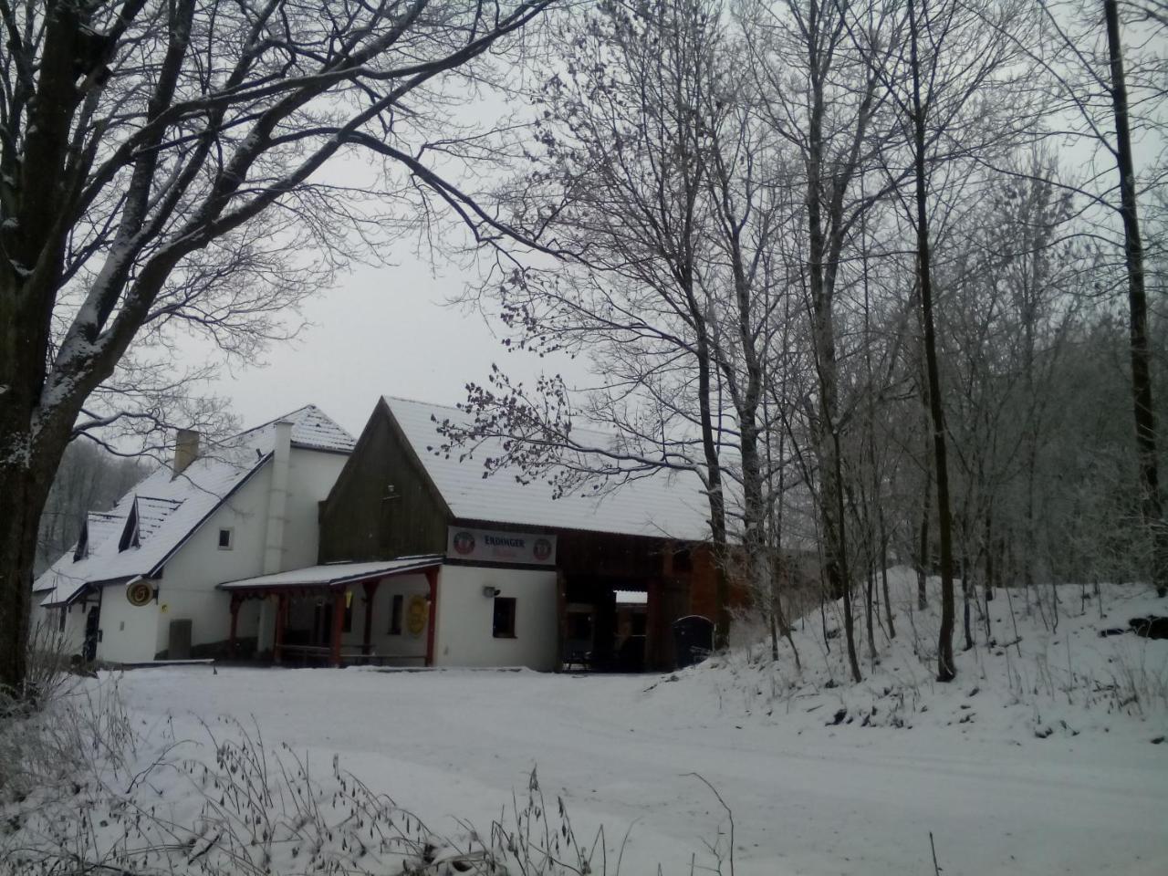 Hotel Penzion U dvojice Nove Mesto na Morave Esterno foto